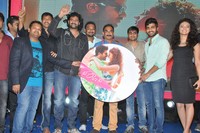 Run Raja Run Audio Launch